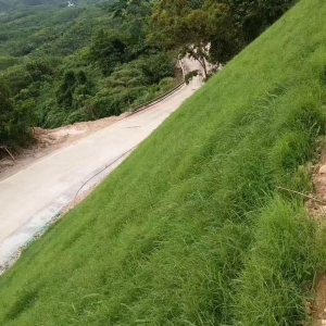 三維植被網(wǎng)