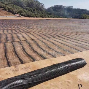 單向塑料土工格柵施工